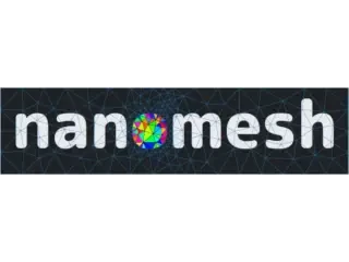 nanomesh